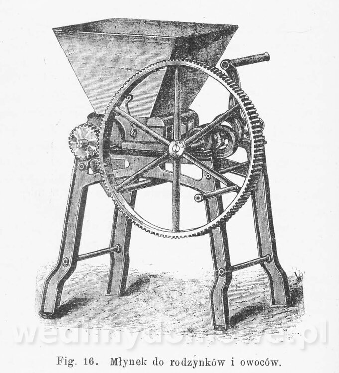 Najkożystniejsze i wszechstronne zużytkowanie owoców 1894_142.jpg
