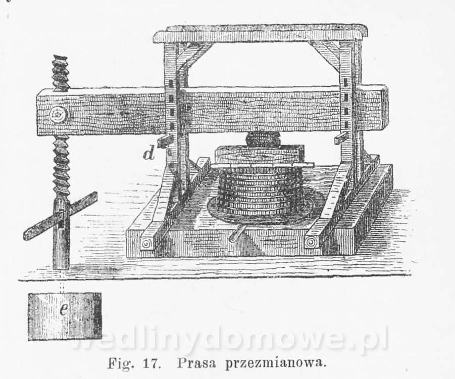 Najkożystniejsze i wszechstronne zużytkowanie owoców 1894_144.jpg