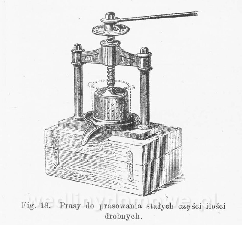 Najkożystniejsze i wszechstronne zużytkowanie owoców 1894_148.jpg