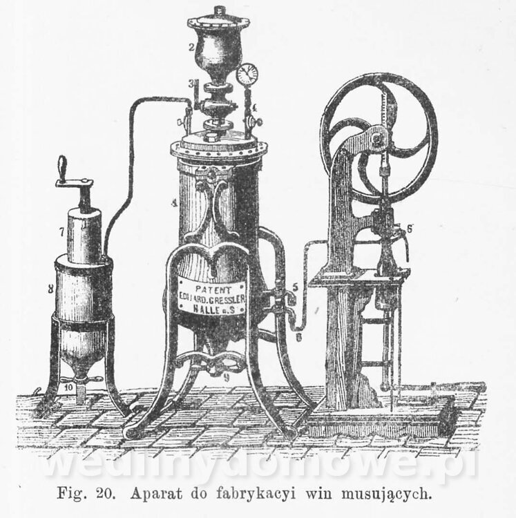 Najkożystniejsze i wszechstronne zużytkowanie owoców 1894_179.jpg