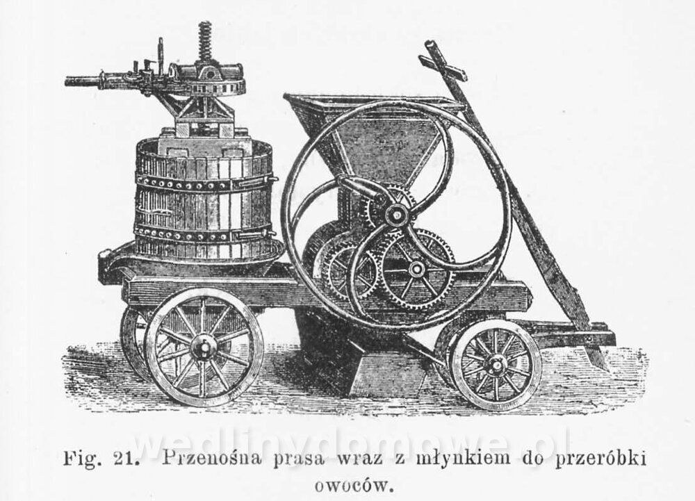 Najkożystniejsze i wszechstronne zużytkowanie owoców 1894_192.jpg