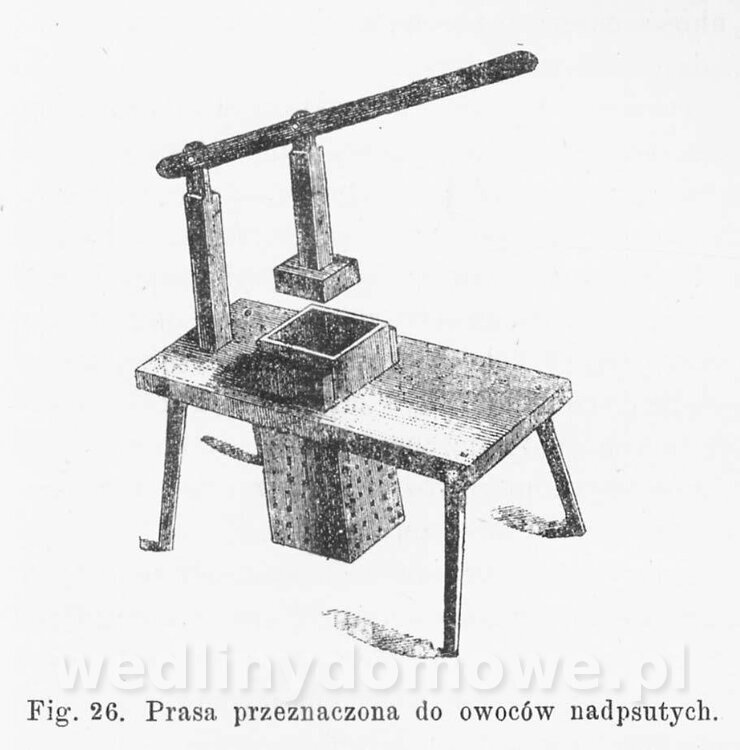 Najkożystniejsze i wszechstronne zużytkowanie owoców 1894_214.jpg