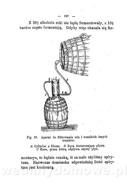 Najkożystniejsze i wszechstronne zużytkowanie owoców 1894_227.jpg