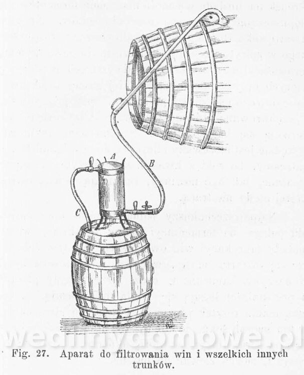 Najkożystniejsze i wszechstronne zużytkowanie owoców 1894_228.jpg