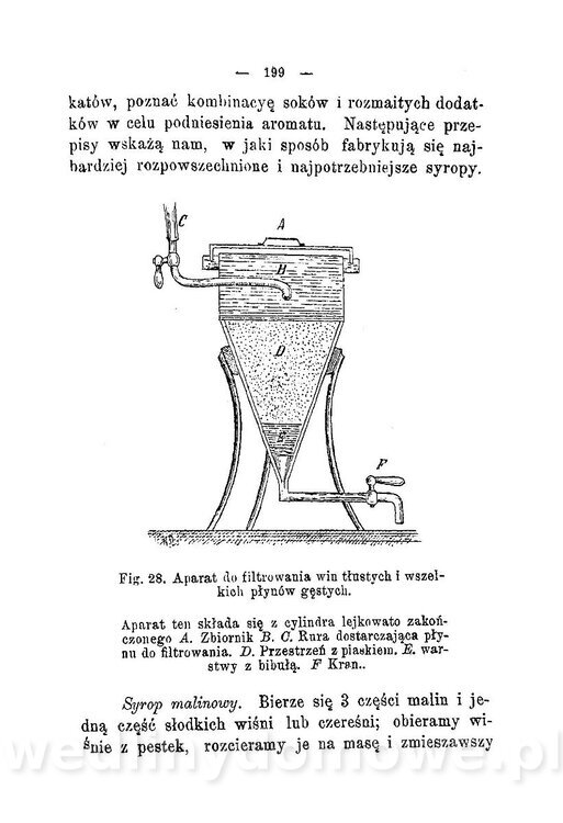 Najkożystniejsze i wszechstronne zużytkowanie owoców 1894_230.jpg