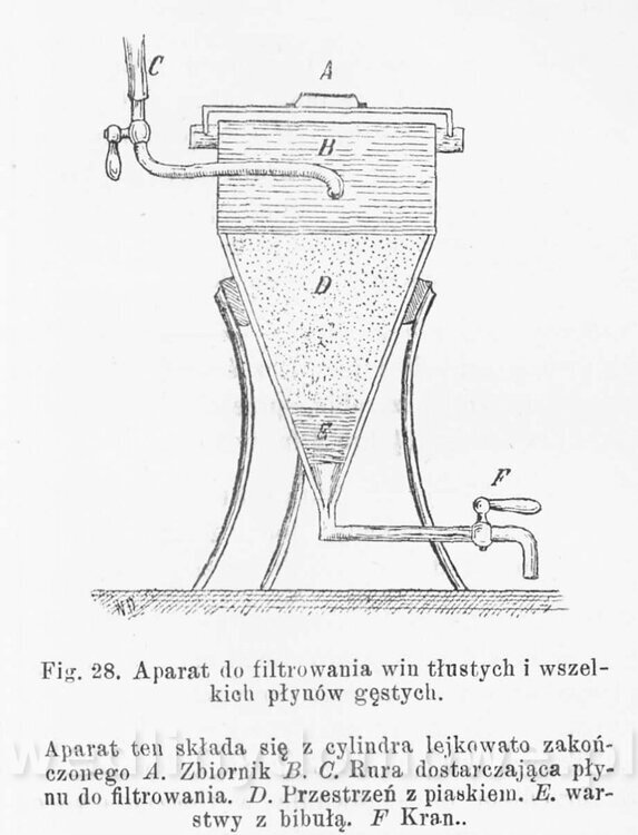 Najkożystniejsze i wszechstronne zużytkowanie owoców 1894_231.jpg