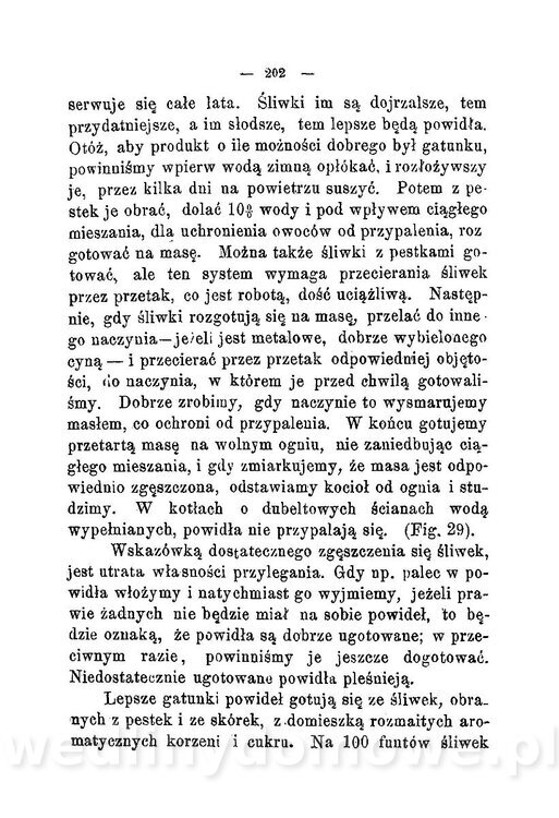 Najkożystniejsze i wszechstronne zużytkowanie owoców 1894_234.jpg