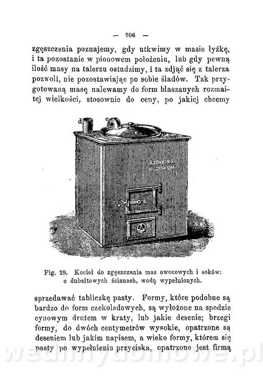 Najkożystniejsze i wszechstronne zużytkowanie owoców 1894_238.jpg