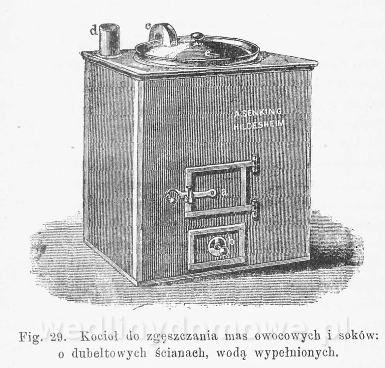 Najkożystniejsze i wszechstronne zużytkowanie owoców 1894_239.jpg