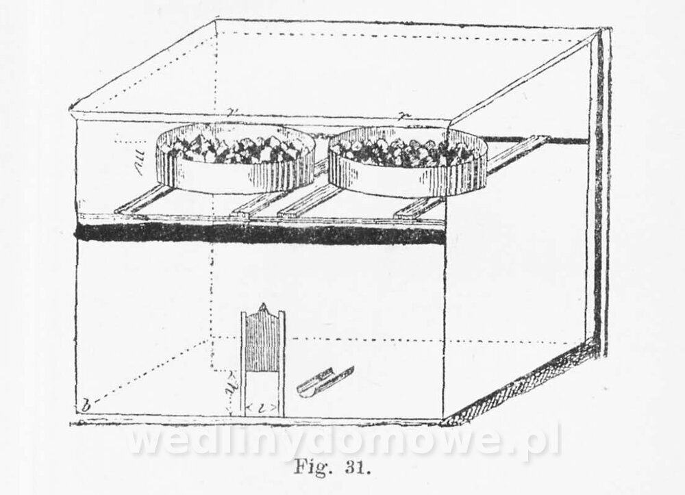 Najkożystniejsze i wszechstronne zużytkowanie owoców 1894_266.jpg