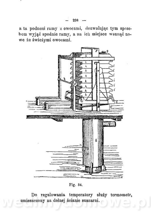 Najkożystniejsze i wszechstronne zużytkowanie owoców 1894_272.jpg