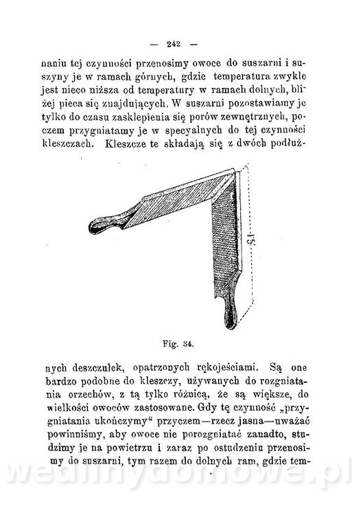 Najkożystniejsze i wszechstronne zużytkowanie owoców 1894_279.jpg