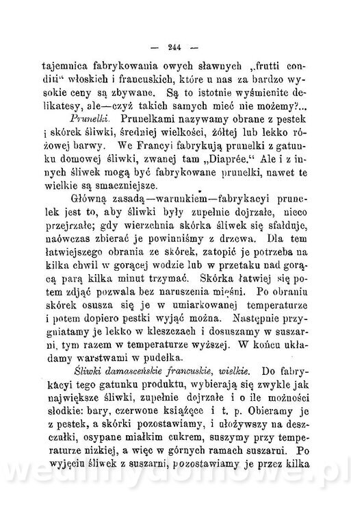 Najkożystniejsze i wszechstronne zużytkowanie owoców 1894_282.jpg