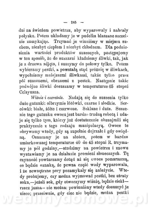 Najkożystniejsze i wszechstronne zużytkowanie owoców 1894_283.jpg