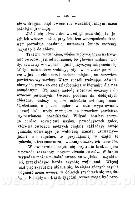 Najkożystniejsze i wszechstronne zużytkowanie owoców 1894_287.jpg