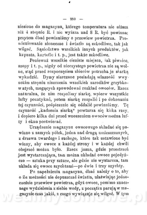 Najkożystniejsze i wszechstronne zużytkowanie owoców 1894_288.jpg