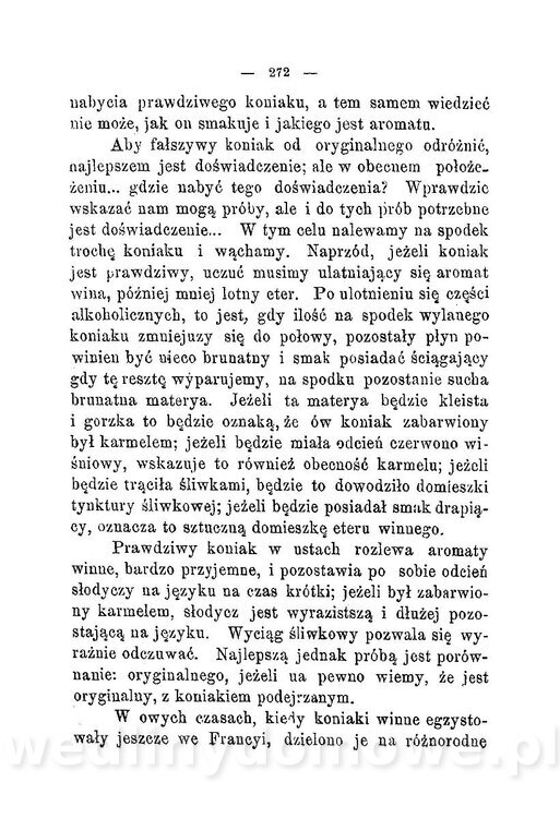 Najkożystniejsze i wszechstronne zużytkowanie owoców 1894_310.jpg