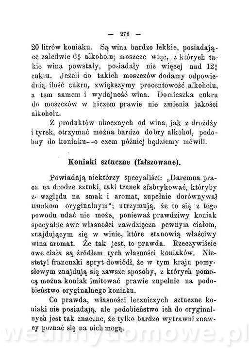 Najkożystniejsze i wszechstronne zużytkowanie owoców 1894_316.jpg