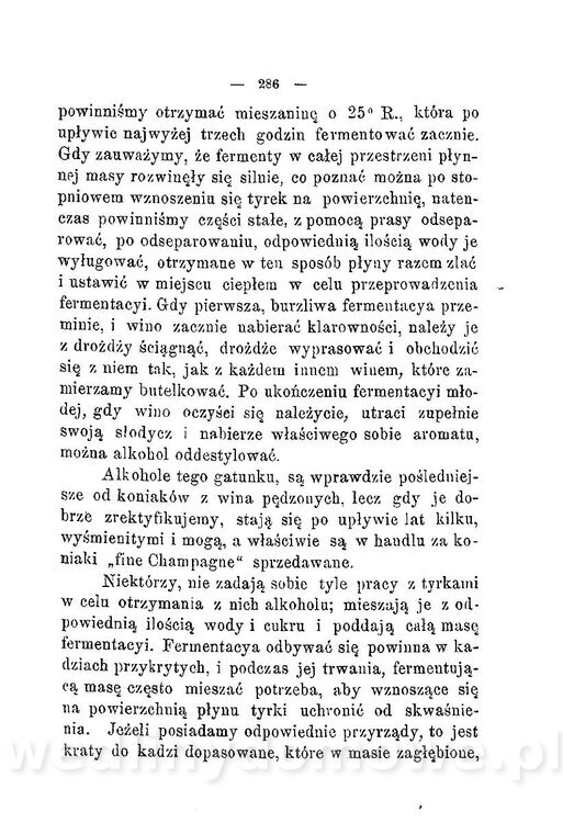 Najkożystniejsze i wszechstronne zużytkowanie owoców 1894_324.jpg