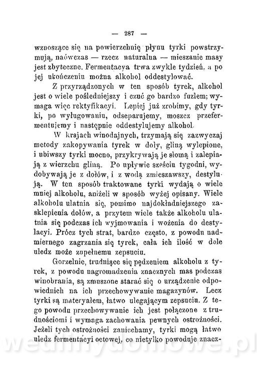 Najkożystniejsze i wszechstronne zużytkowanie owoców 1894_325.jpg