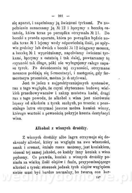 Najkożystniejsze i wszechstronne zużytkowanie owoców 1894_329.jpg