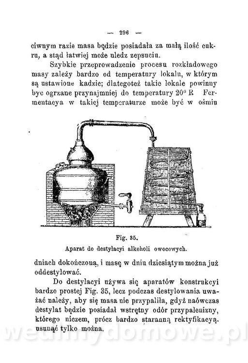 Najkożystniejsze i wszechstronne zużytkowanie owoców 1894_334.jpg