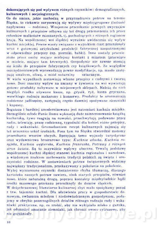 Nowa Kuchnia Sląska (1992 r)_010.jpg