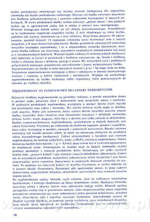 Nowa Kuchnia Sląska (1992 r)_018.jpg