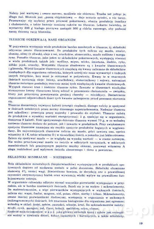 Nowa Kuchnia Sląska (1992 r)_019.jpg