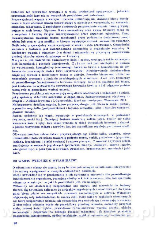 Nowa Kuchnia Sląska (1992 r)_020.jpg