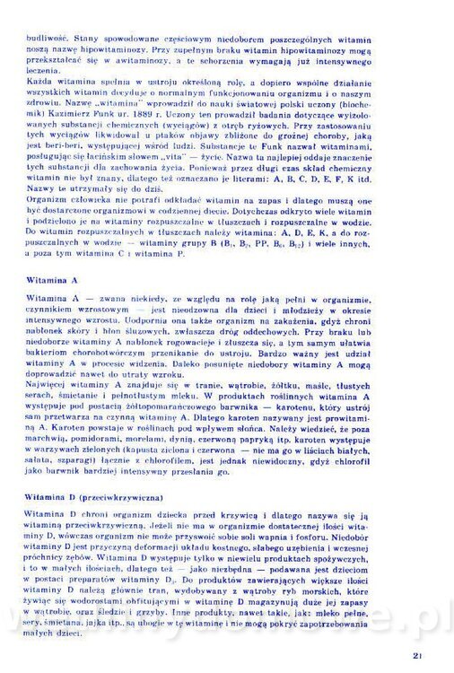 Nowa Kuchnia Sląska (1992 r)_021.jpg