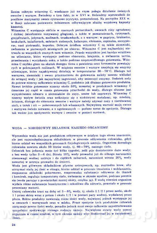 Nowa Kuchnia Sląska (1992 r)_024.jpg