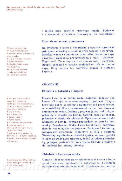 Nowa Kuchnia Sląska (1992 r)_086.jpg