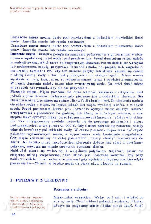 Nowa Kuchnia Sląska (1992 r)_120.jpg