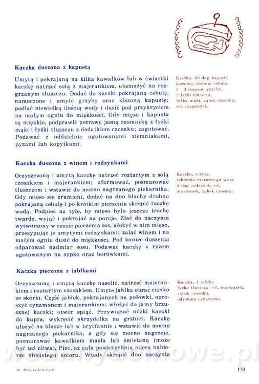 Nowa Kuchnia Sląska (1992 r)_153.jpg