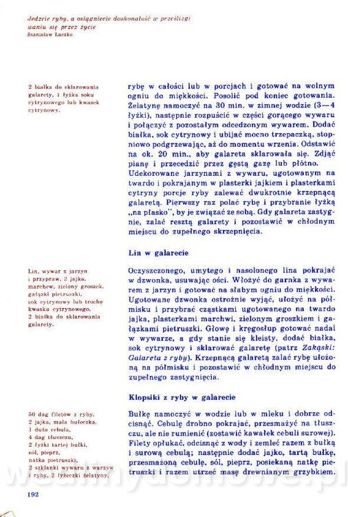 Nowa Kuchnia Sląska (1992 r)_192.jpg