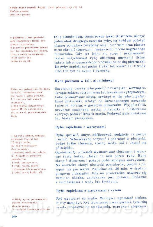 Nowa Kuchnia Sląska (1992 r)_200.jpg