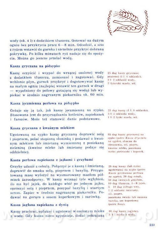 Nowa Kuchnia Sląska (1992 r)_223.jpg