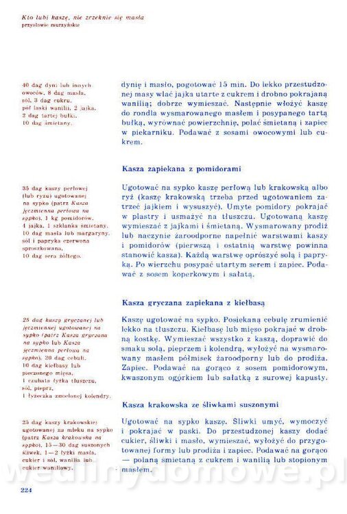 Nowa Kuchnia Sląska (1992 r)_224.jpg