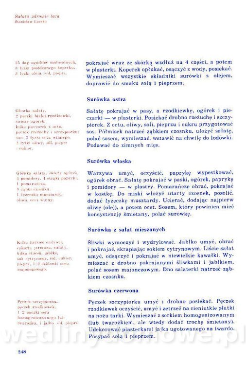 Nowa Kuchnia Sląska (1992 r)_248.jpg