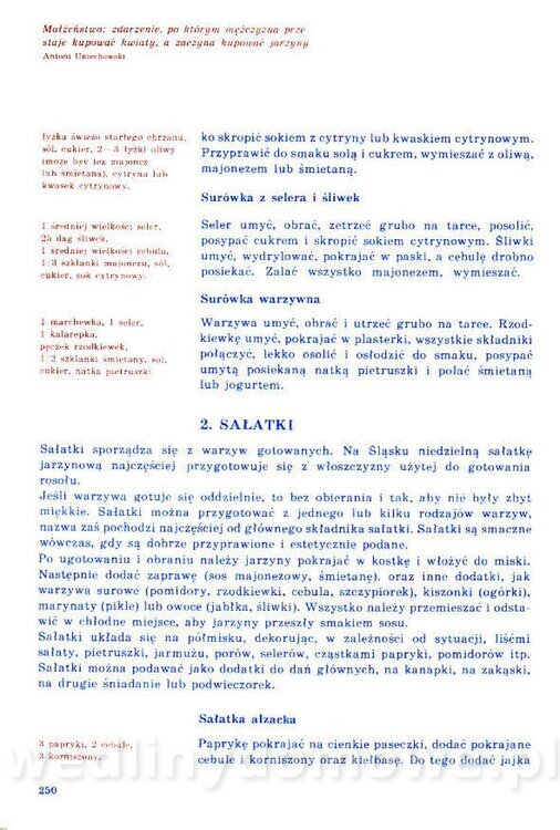 Nowa Kuchnia Sląska (1992 r)_250.jpg