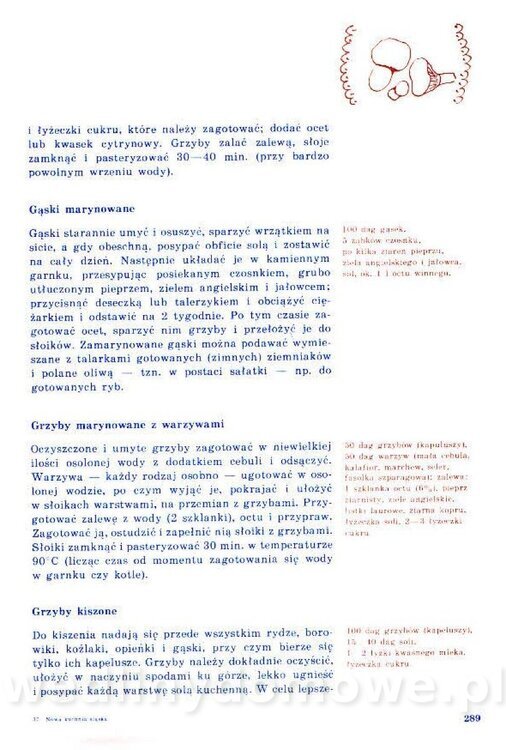 Nowa Kuchnia Sląska (1992 r)_289.jpg