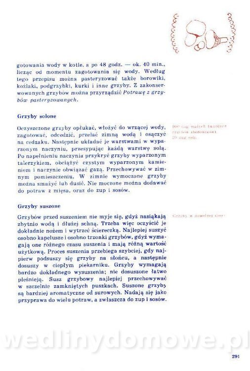 Nowa Kuchnia Sląska (1992 r)_291.jpg