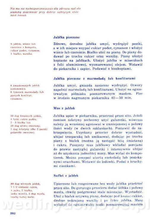 Nowa Kuchnia Sląska (1992 r)_392.jpg