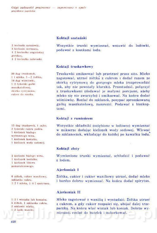 Nowa Kuchnia Sląska (1992 r)_420.jpg