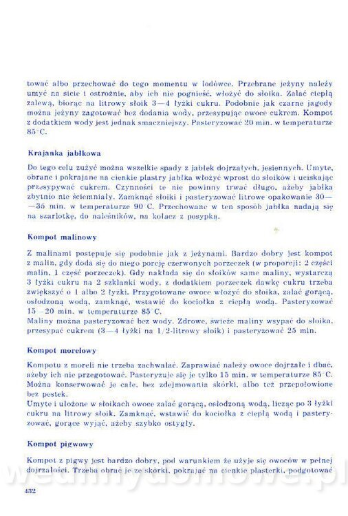 Nowa Kuchnia Sląska (1992 r)_432.jpg