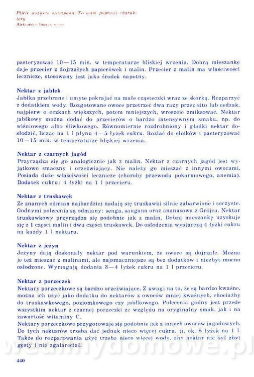 Nowa Kuchnia Sląska (1992 r)_440.jpg
