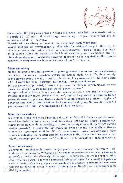 Nowa Kuchnia Sląska (1992 r)_443.jpg
