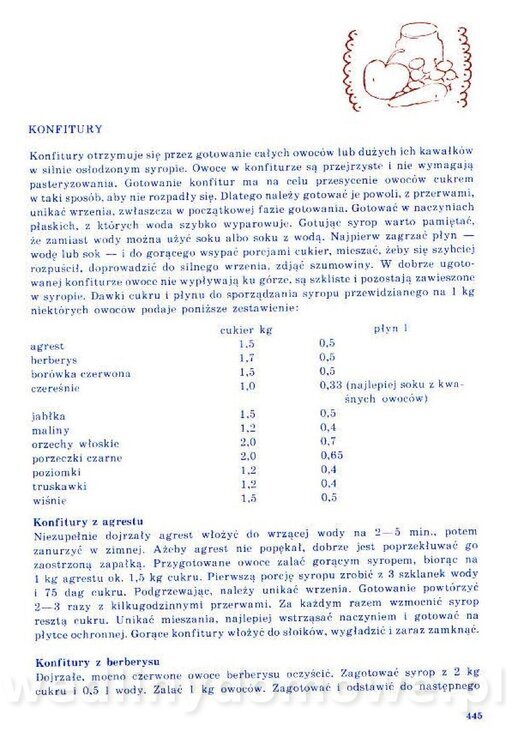 Nowa Kuchnia Sląska (1992 r)_445.jpg