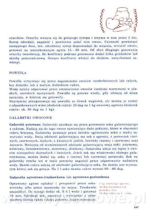 Nowa Kuchnia Sląska (1992 r)_447.jpg